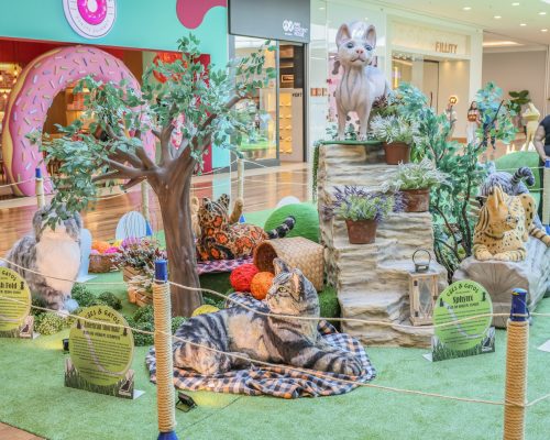 Exposição inédita no Ribeirão Shopping retrata as principais raças de cães e gatos do mundo