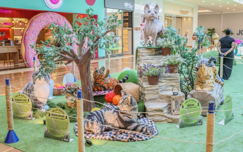 Exposição inédita no Ribeirão Shopping retrata as principais raças de cães e gatos do mundo