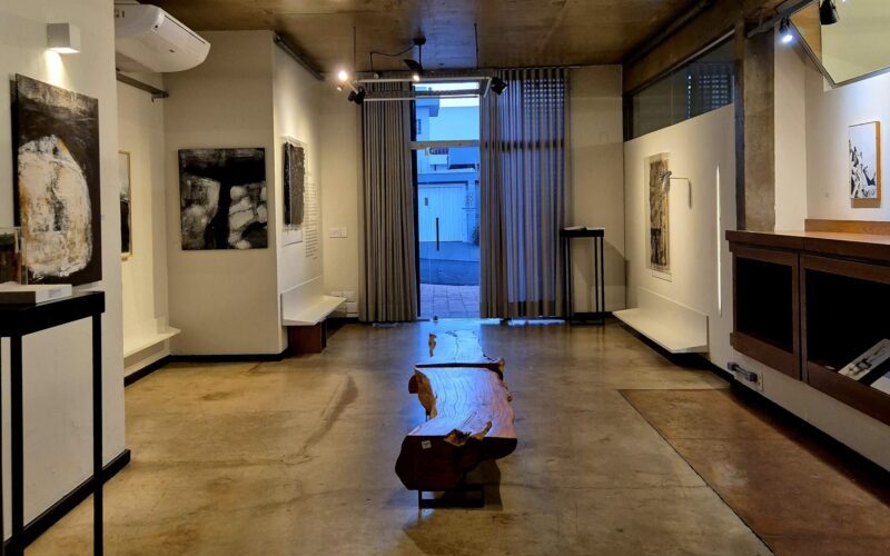 Casa Cotrim Belas Artes promove visita guiada com a artista Cenimar Soares em Ribeirão Preto