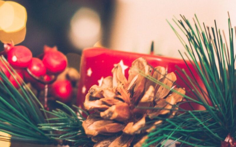 Feirinha do Produtor realiza edição especial de Natal com entrada gratuita em Ribeirão Preto