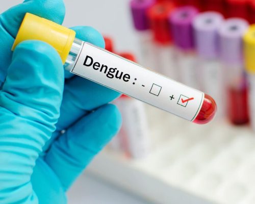 Automedicação pode piorar casos de dengue, alerta especialista