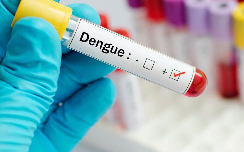 Automedicação pode piorar casos de dengue, alerta especialista