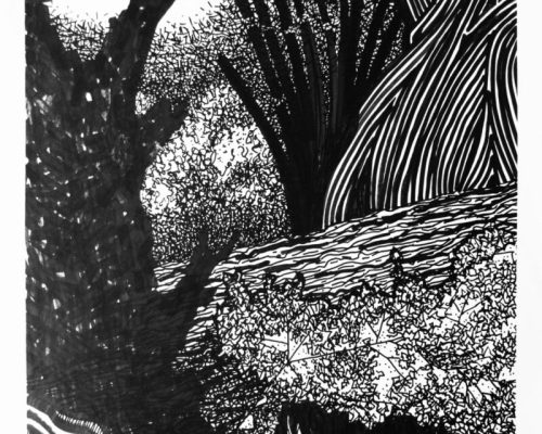 “O Caipira Antropófago”, de Ruy Marques Ferreira, abre na Casa Cotrim, em Ribeirão Preto