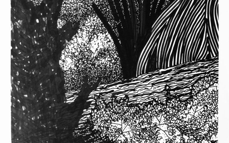 “O Caipira Antropófago”, de Ruy Marques Ferreira, abre na Casa Cotrim, em Ribeirão Preto