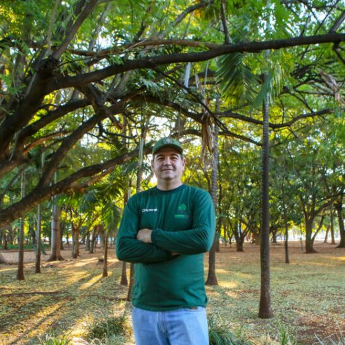 ArboreSer encerra temporada 2025/2026 com 1.486 árvores plantadas