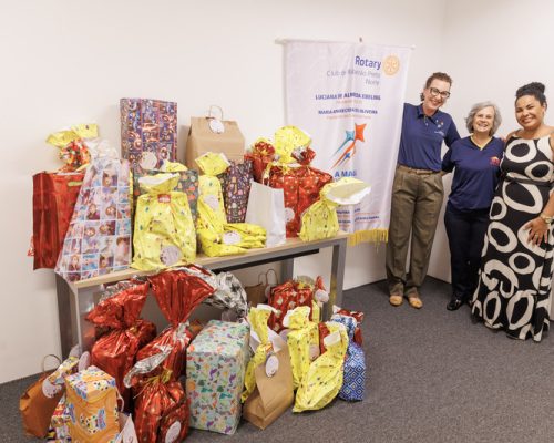 Árvores Solidárias de Natal do RibeirãoShopping arrecadam quase 150 presentes para crianças, idosos e pets