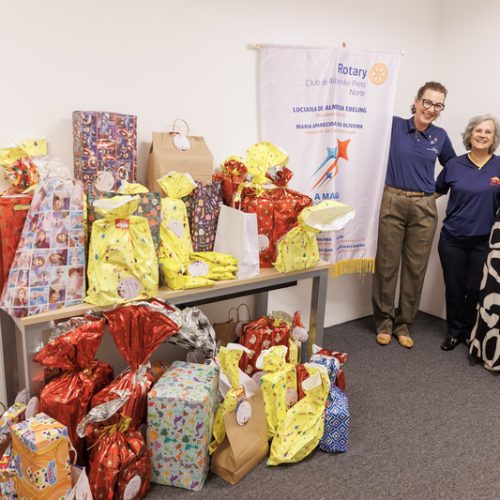 Árvores Solidárias de Natal do RibeirãoShopping arrecadam quase 150 presentes para crianças, idosos e pets