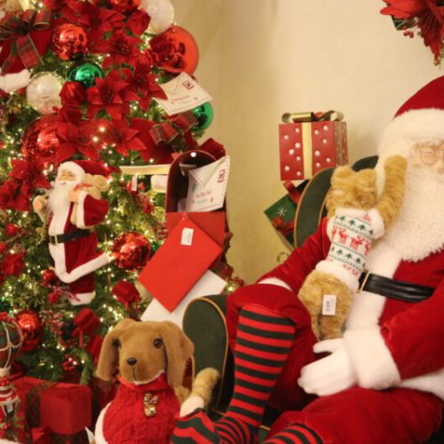 Natal impulsiona vendas e aquece setor de decoração na cidade