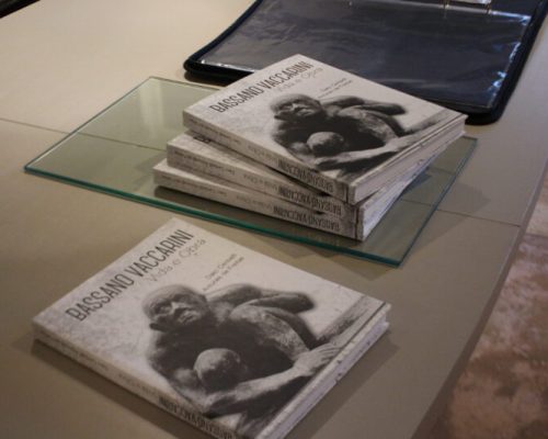 Últimos dias da exposição “Bassano Vaccarinni: Formas de Permanência”, na Casa Cotrim