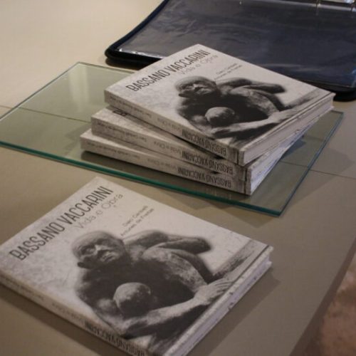 Últimos dias da exposição “Bassano Vaccarinni: Formas de Permanência”, na Casa Cotrim