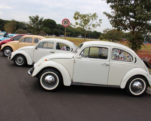 Encontro de carros clássicos em Ribeirão Preto terá programação cultural e deve receber 10 mil pessoas neste final de semana