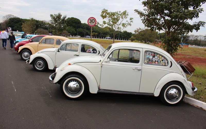 Encontro de carros clássicos em Ribeirão Preto terá programação cultural e deve receber 10 mil pessoas neste final de semana