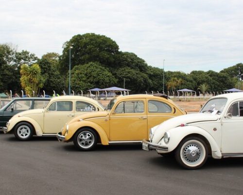 Encontro de Fuscas e Aircooleds reúne expositores e visitantes de todo o Brasil em Ribeirão Preto