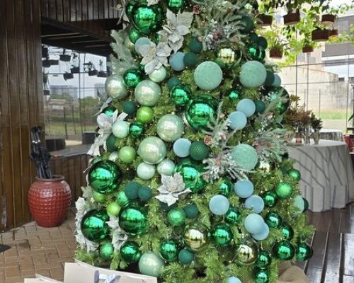 Espaço em Ribeirão Preto traz experiência especial de Natal