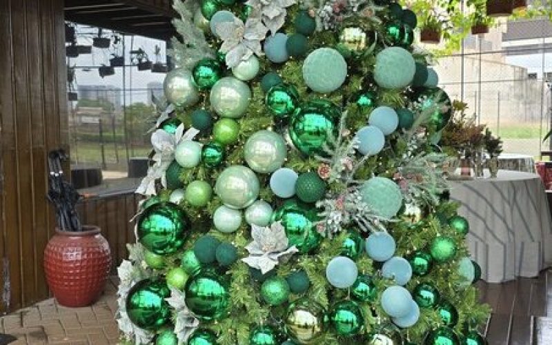 Espaço em Ribeirão Preto traz experiência especial de Natal