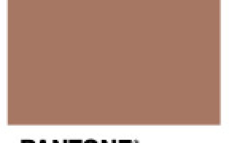 Ricosti Cosméticos abraça a tendência “Mocha Mousse” de 2025