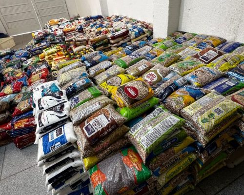 Viva La Vida Eventos arrecada quase duas toneladas de alimentos durante show de Dire Straits Legacy