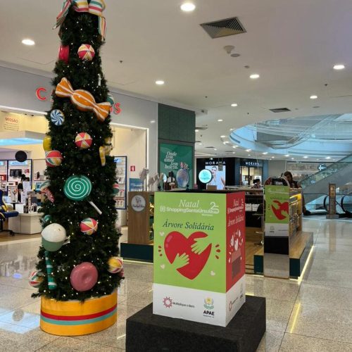 ShoppingSantaÚrsula arrecada presentes para alunos da APAE de Ribeirão Preto