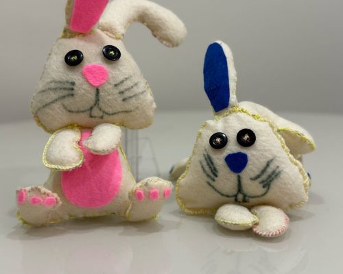 Idosos solidários levam alegria da Páscoa para crianças carentes em Ribeirão Preto