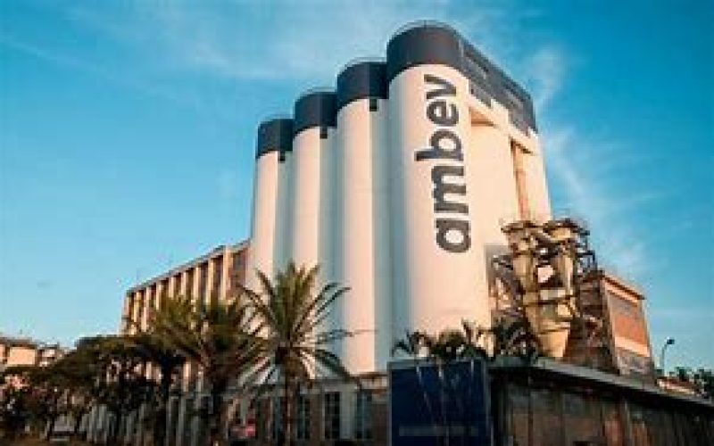 Um brinde a elas! Ambev oferece 3 mil bolsas de estudos de conhecimento cervejeiro a mulheres