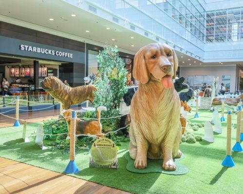 Exposições, parque indoor e cinema: confira as atrações de férias do RibeirãoShopping