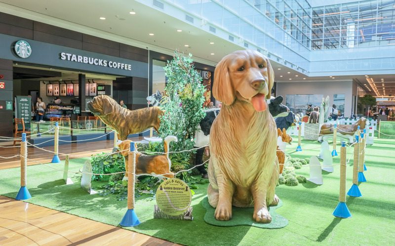 Exposições, parque indoor e cinema: confira as atrações de férias do RibeirãoShopping