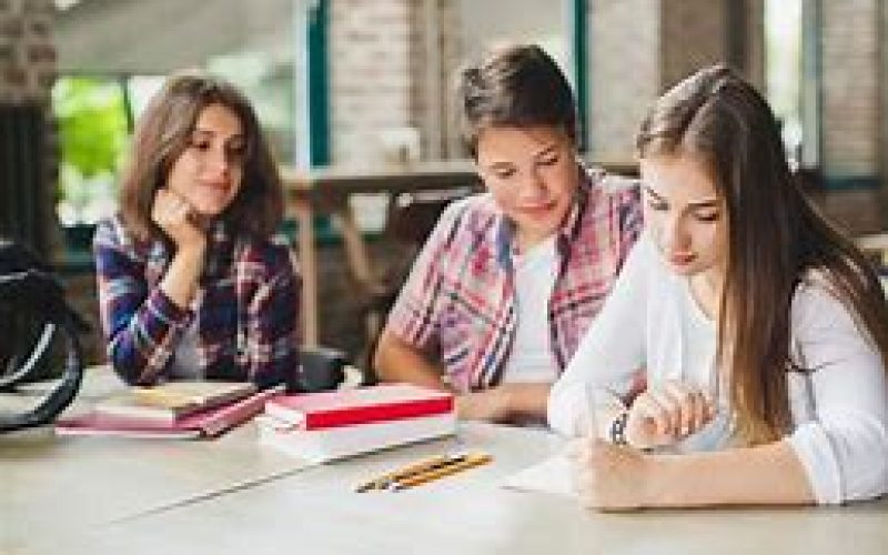 Vestibulando: plataforma potencializa resultados no exame