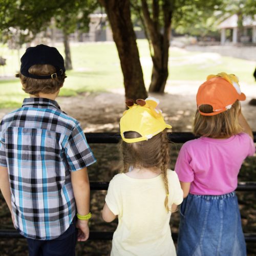 Rear view of caucasian siblings enjoying the zoo together
