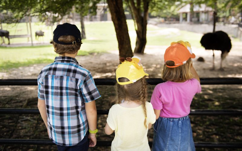 Rear view of caucasian siblings enjoying the zoo together