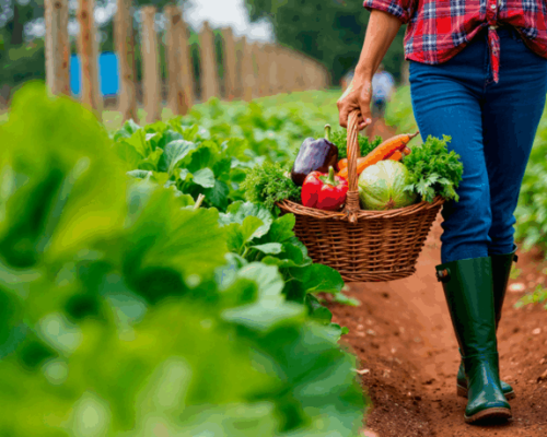 “Fertilizantes melhoram a saúde não só das plantas, mas também do homem”, afirma especialista