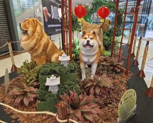 ShoppingSantaÚrsula reúne atração inspirada no universo dos pets durante as férias