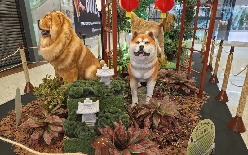 ShoppingSantaÚrsula reúne atração inspirada no universo dos pets durante as férias