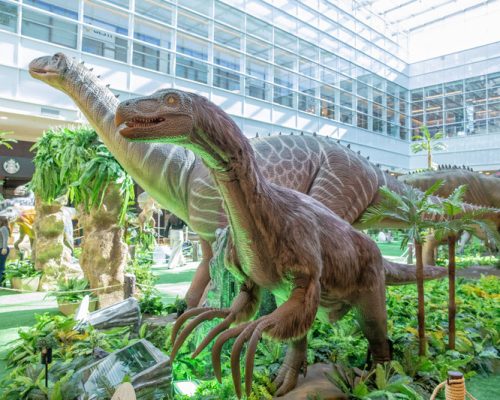 RibeirãoShopping prorroga exposição Dino’s Alive e Dragões