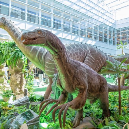 RibeirãoShopping prorroga exposição Dino’s Alive e Dragões