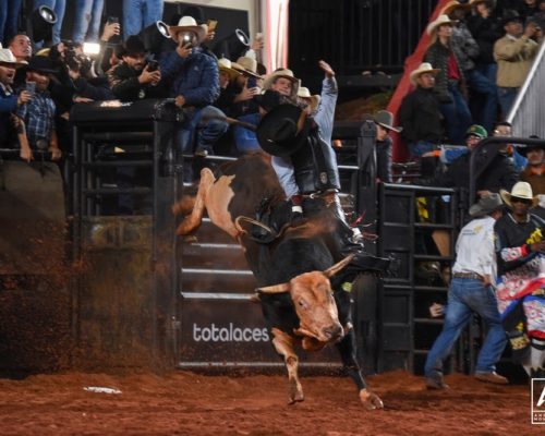 Festa do Peão de Barretos doa mais de R$ 1,9 milhão para o Hospital de Amor