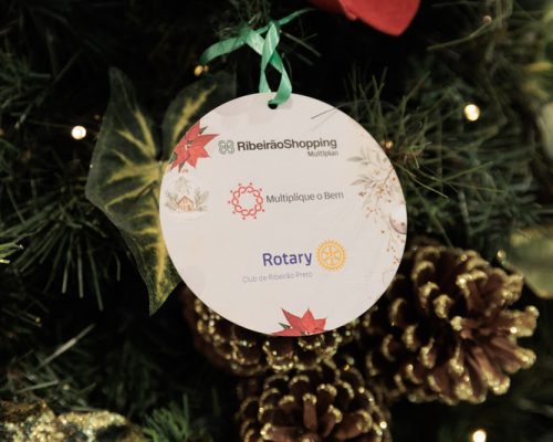 Árvores Solidárias do RibeirãoShopping arrecadam mais de 370 doações para crianças, idosos e pets em Ribeirão Preto