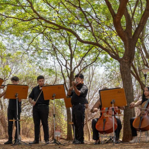 Camerata Beija-Flor, da Instituição Aparecido Savegnago, faz duas apresentações na USP de Ribeirão Preto