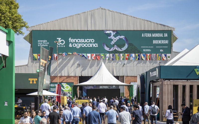 Customização de abadá ganha criatividade para o RP Folia 2025