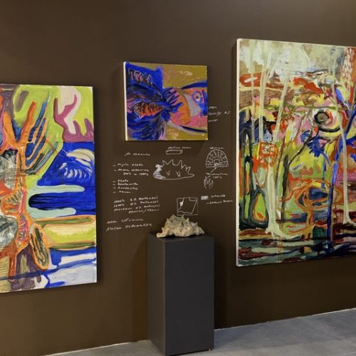 ShoppingSantaÚrsula recebe exposição que transforma a natureza em expressão artística