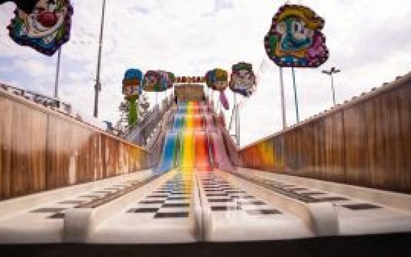 Park do Gorilão anuncia passaporte promocional para o Dia das Crianças
