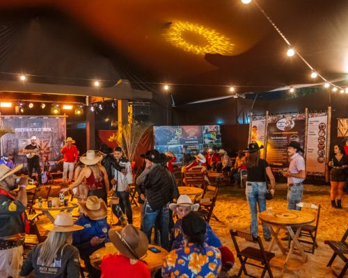 Ribeirão Rodeo Music 2025 promove Concurso de Viola Caipira no dia 30 de abril