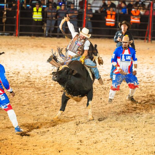  Ribeirão Rodeo Music reunirá mais de 300 competidores em quatro modalidades esportivas