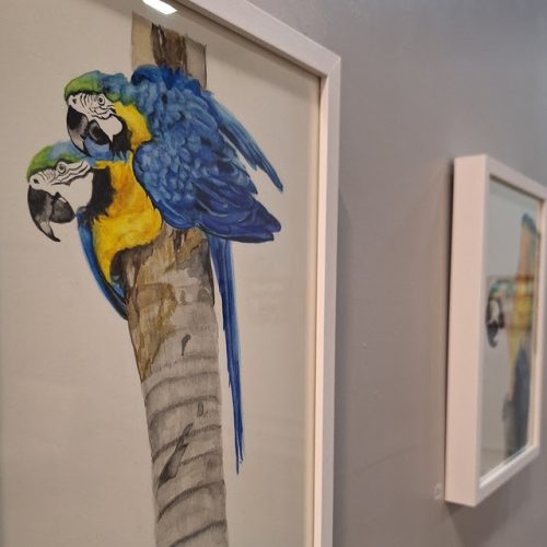 Exposição “Inside Out”, da artista Zaza Amaral, estreia no ShoppingSantaÚrsula