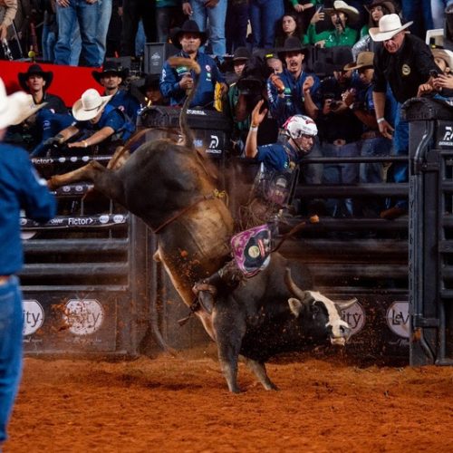 Brasileiro Caio Fazan vence 2º round das montarias em touros do 32º Barretos International Rodeo