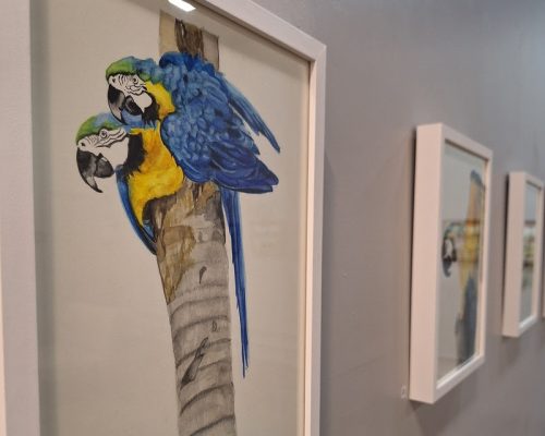 Exposição “Inside Out”, da artista Zaza Amaral, estreia no ShoppingSantaÚrsula