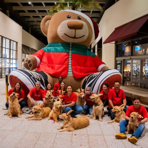 Alerta fofura! Iguatemi Ribeirão Preto realiza encontro de pets com Papai Noel no mês de dezembro