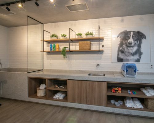 Pets ganham protagonismo e influenciam o mercado imobiliário brasileiro