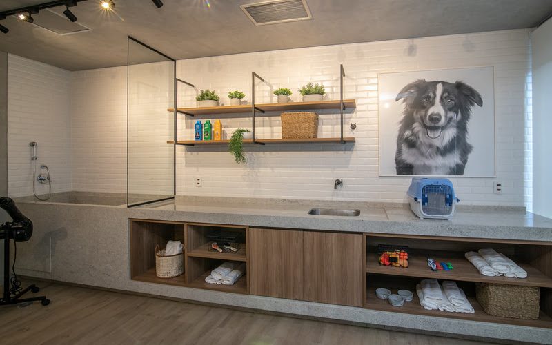 Pets ganham protagonismo e influenciam o mercado imobiliário brasileiro