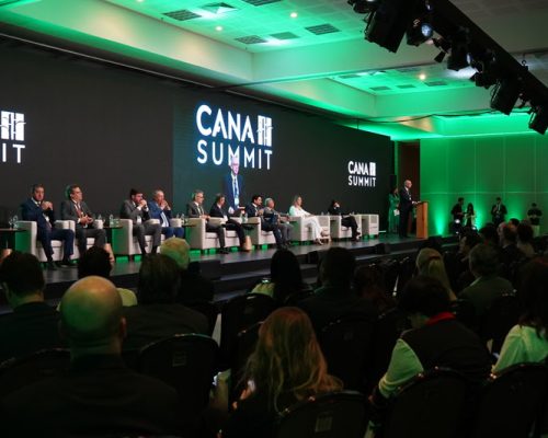 Juros elevados e crédito mais restrito colocam fluxo de investimentos na cana em debate