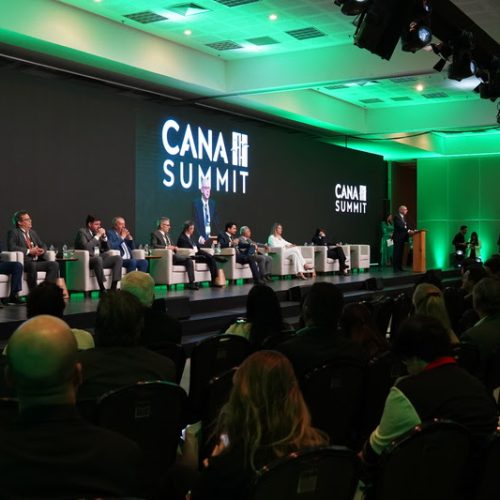 Juros elevados e crédito mais restrito colocam fluxo de investimentos na cana em debate